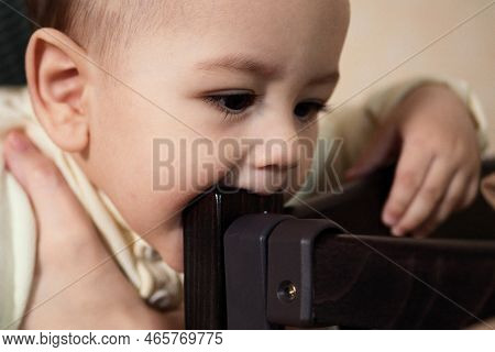Cute Adorable Newborn Baby Playing With Colorful Rattle Toy. Baby With Teether. Six Months Old Lovel