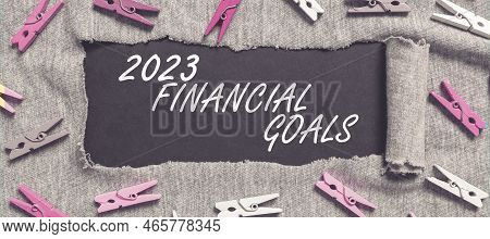 Text Showing Inspiration 2023 Financial Goals. Business Showcase Highest Quality Done In All Fields 