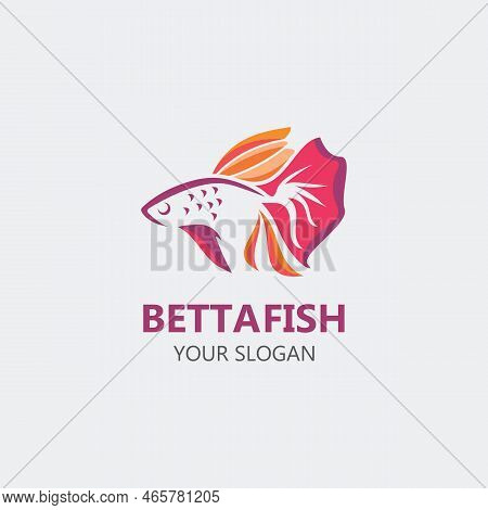 Betta Fish Modern Logo Style Design Vector Image Illustration