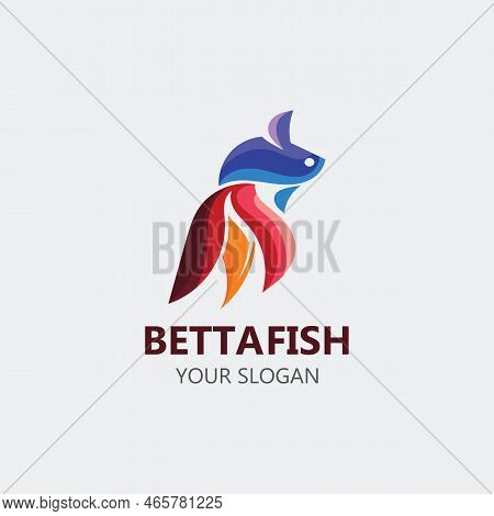 Betta Fish Modern Logo Style Design Vector Image Illustration