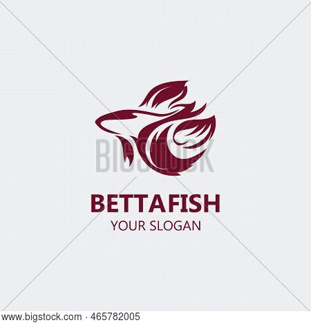 Betta Fish Modern Logo Style Design Vector Image Illustration