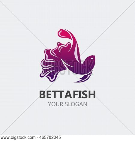 Betta Fish Modern Logo Style Design Vector Image Illustration