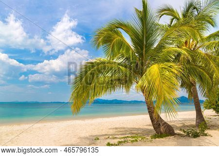Single Small Palm Tree Hanging Over Tropical Beach With White Sand