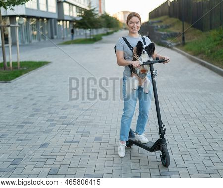 A Woman Rides An Electric Scooter With A Dog In A Backpack. Pappilion Spaniel Continental In A Sling