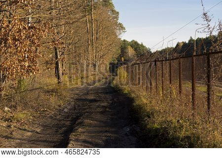 A Forest Path Running Through The Autumn Forest. A Forest Path Running Through The Autumn Forest. A 