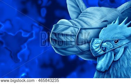 Farming Biosecurity And Swine Disease Or Pig Virus Or Bird Flu From Infected Livestock As Pigs Hogs 