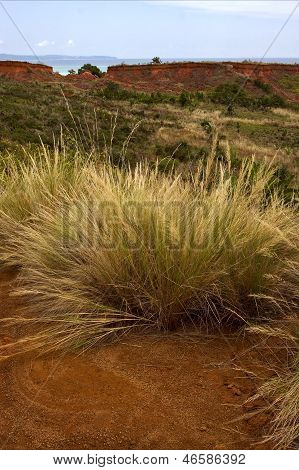 Hill Bush Plant Lagoon And Coastlinemadagascar