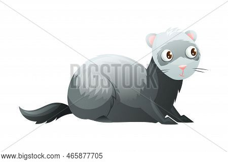 Grey Fluffy Ferret With Cute Snout As Home Pet Animal Vector Illustration