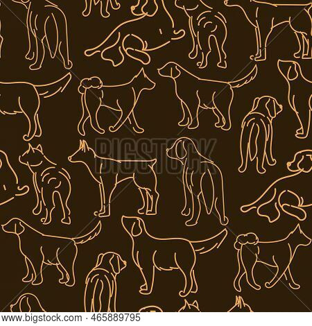Drawing With Dogs In Different Poses. Line Graphics On A Dark Background. Light Lines On Dark. Suita