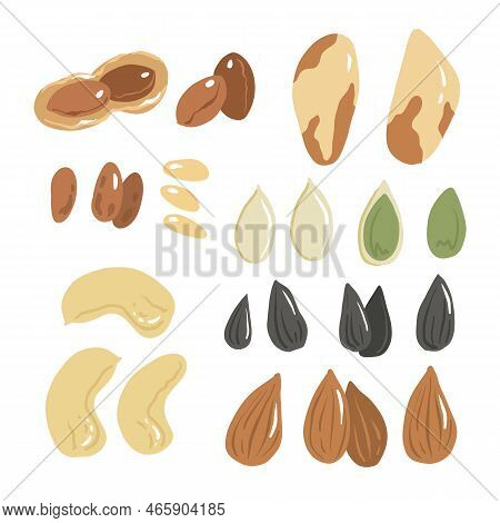 Set Of Nuts And Seeds. Almond, Cashew, Peanut, Brazil Nut, Pine Nut, Sunflower And Pumpkin Seeds. Ve