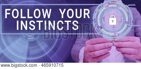 Text Sign Showing Follow Your Instincts. Business Overview Listen To Your Intuition And Listen To Yo