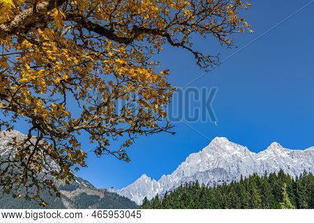 Openwork Branches Of A Tree With Yellow Foliage Against A Clear Cloudless Sky In A Mountainous Regio