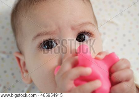 Cute Adorable Newborn Baby Playing With Colorful Rattle Toy. Baby With Teether. Six Months Old Lovel