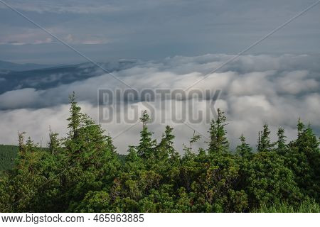 View From  Serak In Jeseniky Mountains On A Summer Foggy Morning And  Sea Of Clouds Around Mountain 