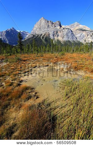 President Range At Emerald Lake, Yoho National Park, Canada