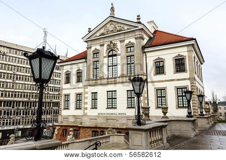 Ostrogski Palace, Fryderyk Chopin Museum