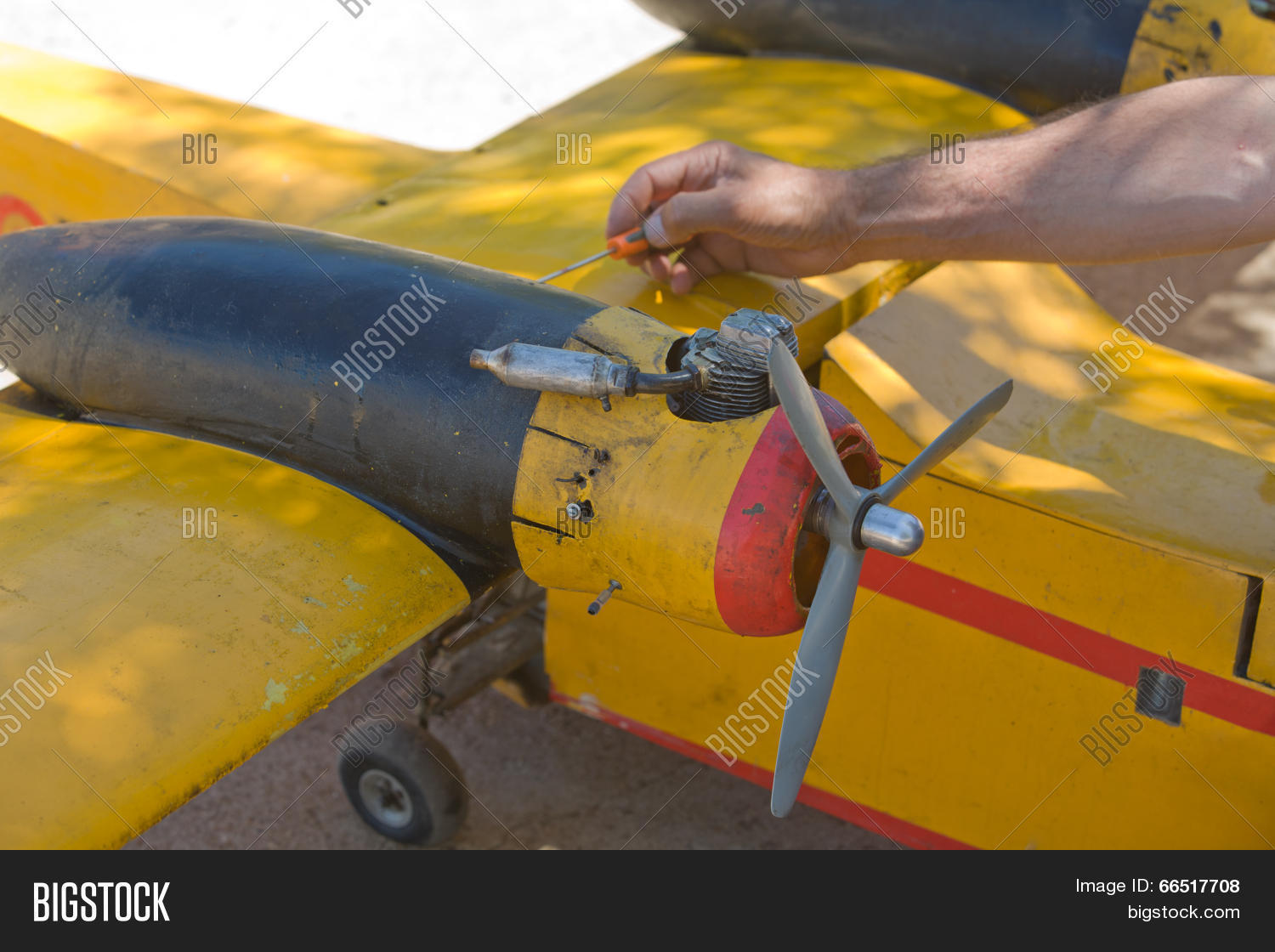 Image Preview