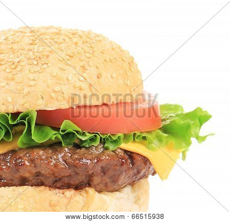 Apetizing hamburger.