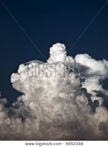 Cumulus und pileus