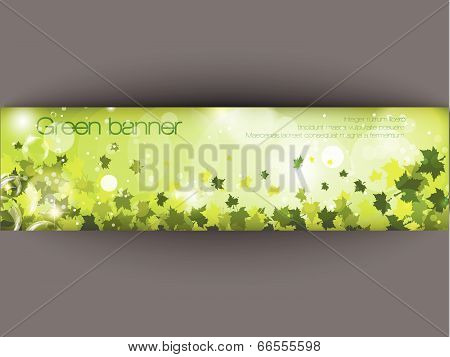 summer, green background with leaves and grass