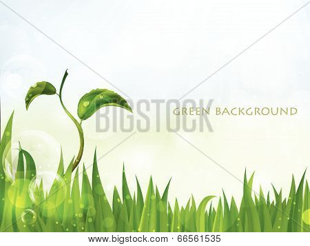 summer, green background with leaves and grass