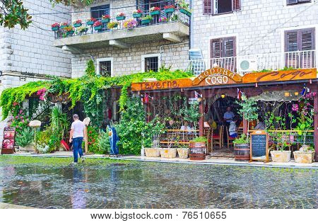 The Cozy Restaurant