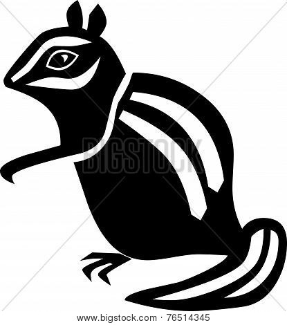 squirrel