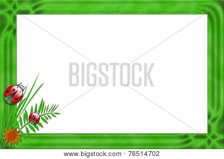 photoframe ladybug