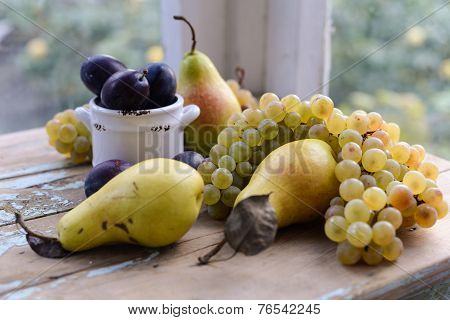 Autumn Fruits Pears, Plums And White Grapes Still Life