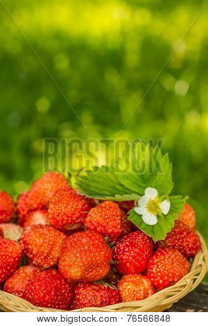Strawberries