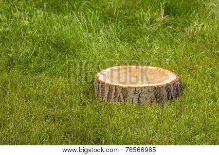 tree stump on the green grass