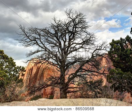 Sunset in Kolob -  Zion National park