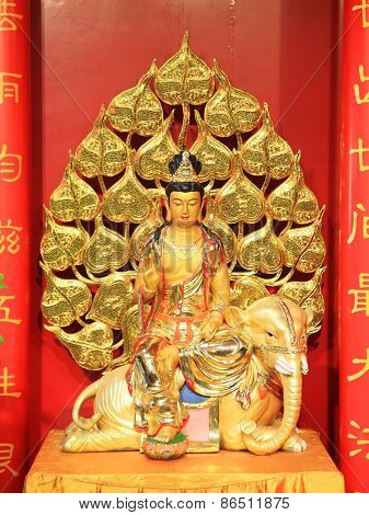 Golden Guan-yin On Elephant Statue