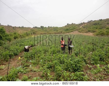 Rongo, Kenya