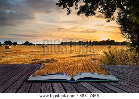 Rural Landscape Image Of Summer Sunset Over Field Of Hay Bales Conceptual Book Image