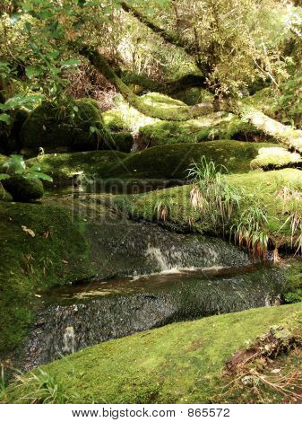 Mossycreek