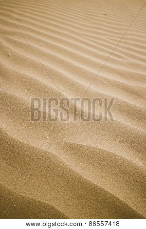 Sand Background