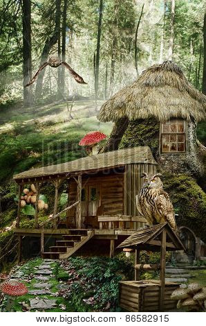 Fairy House (stump)
