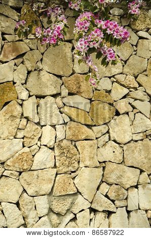 Stone Wall With Flowers