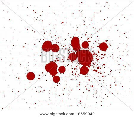 Sangue Splatter