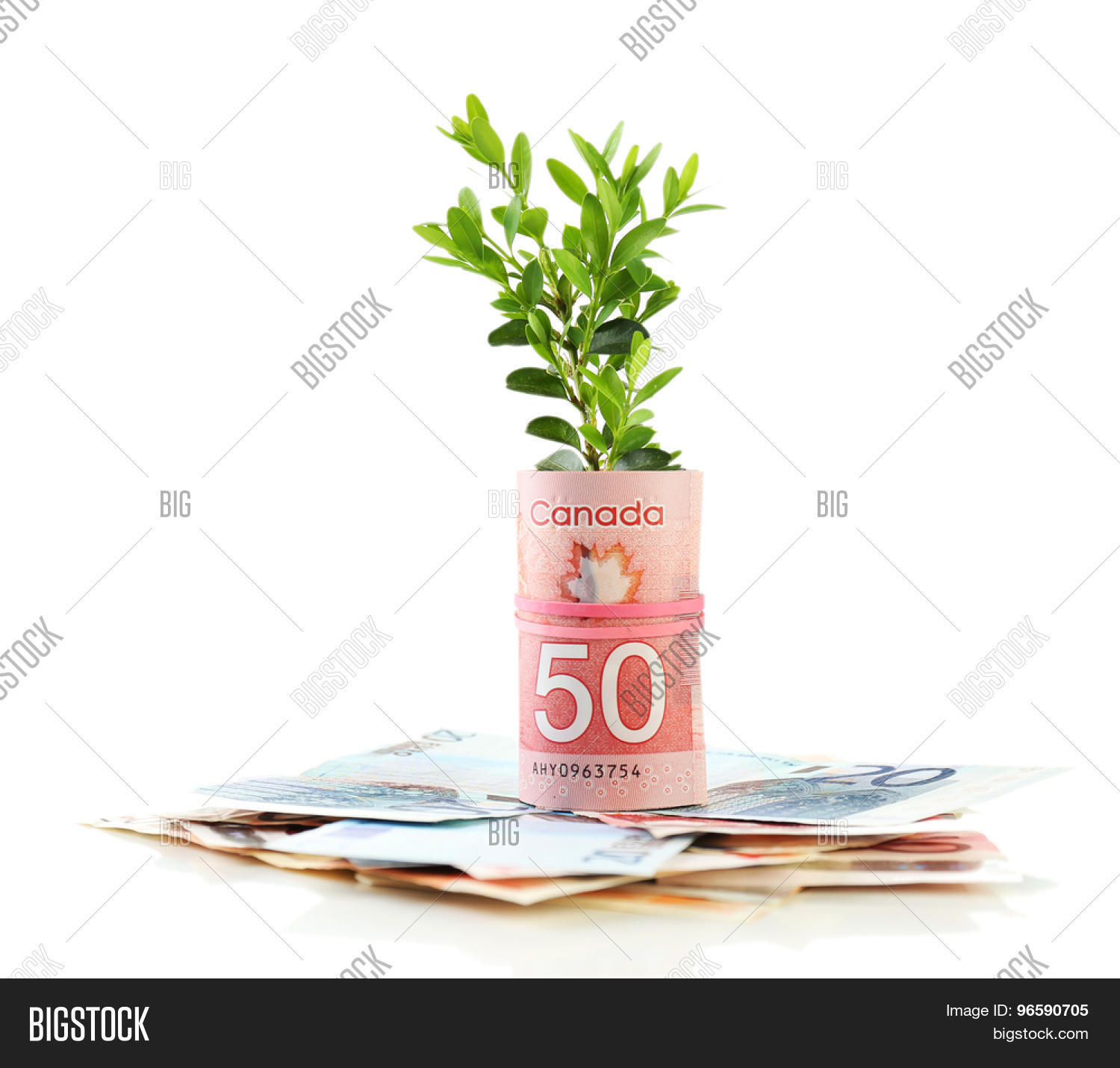 Money Growing Sprout Image & Photo (Free Trial) Bigstock
