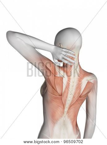 3D render of a female medical figure with partial muscle map holding neck in pain