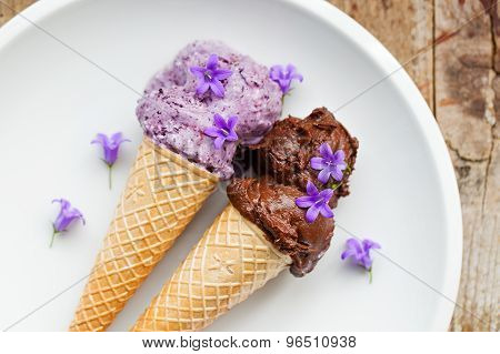 Healthy Blueberry And Cocoa Vegan Icecream