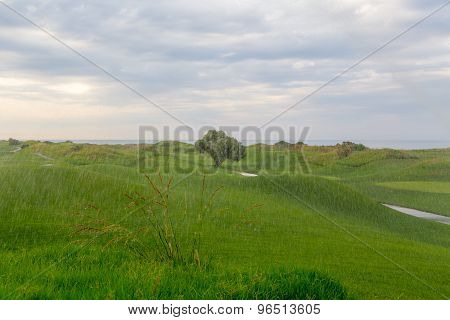 Rain on the golf course