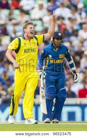 LONDON, ENGLAND - June 17 2013: Australia's James Faulkner appeals for the wicket of Sri Lanka's Angelo Mathews during the ICC Champions Trophy cricket match between Sri Lanka and Australia.