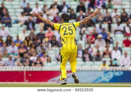 LONDON, ENGLAND - June 17 2013: Australia's Mitchell Johnson appeals during the ICC Champions Trophy international cricket match between Sri Lanka and Australia.