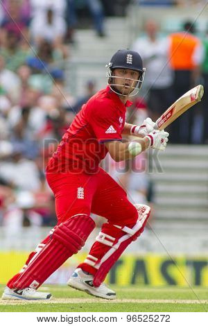 LONDON, ENGLAND - June 19 2013: England's Jonathan Trott batting during the ICC Champions Trophy semi final match between England and South Africa at The Oval Cricket Ground