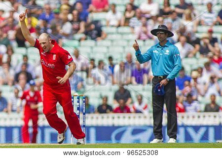 LONDON, ENGLAND - June 19 2013: England's James Tredwell celebrates taking the wicket of Faf du Plessis (not pictured) during the ICC Champions Trophy semi final match between England and South Africa