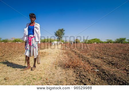 GODWAR REGION, INDIA - 14 FEBRUARY 2015: Young shepherd from Rabari tribe with no turban stands in field with cattle. Rabari are an Indian community in the state of Gujarat.