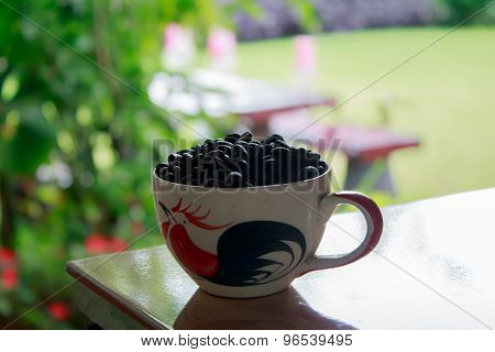 Coffee Bean